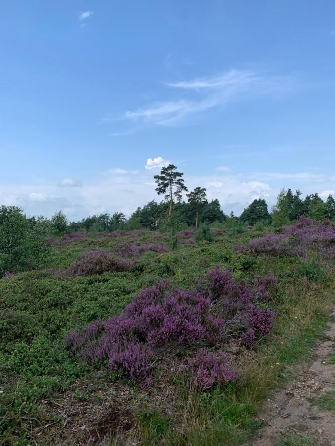 Bed and Breakfast Haarles Landleven Exteriér fotografie